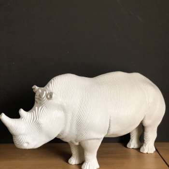 Rhinocéros Blanc